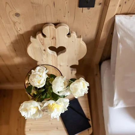 Brizerhaus Apartment Ramsau im Zillertal