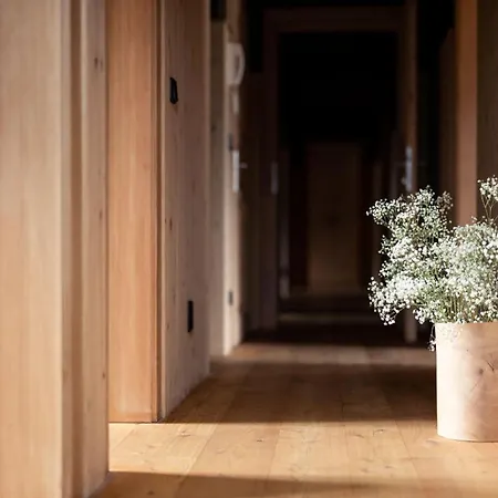 Brizerhaus Apartment Ramsau im Zillertal