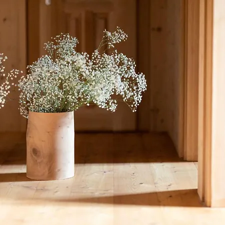 Brizerhaus * رامسو ام زيلرتال