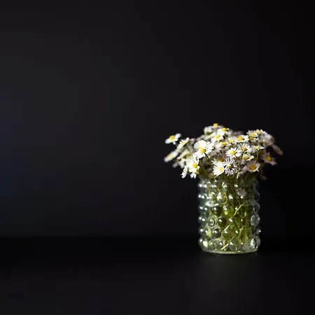 Brizerhaus Daire Ramsau im Zillertal