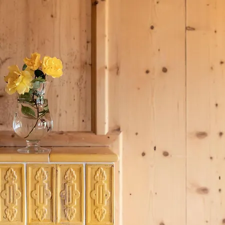 Brizerhaus Apartamento Ramsau im Zillertal